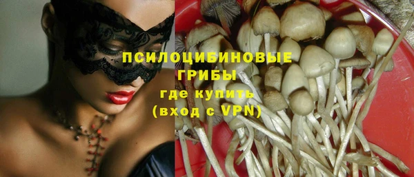 трава Белокуриха