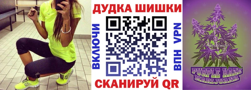 где можно купить Костерёво Канабис OG Kush